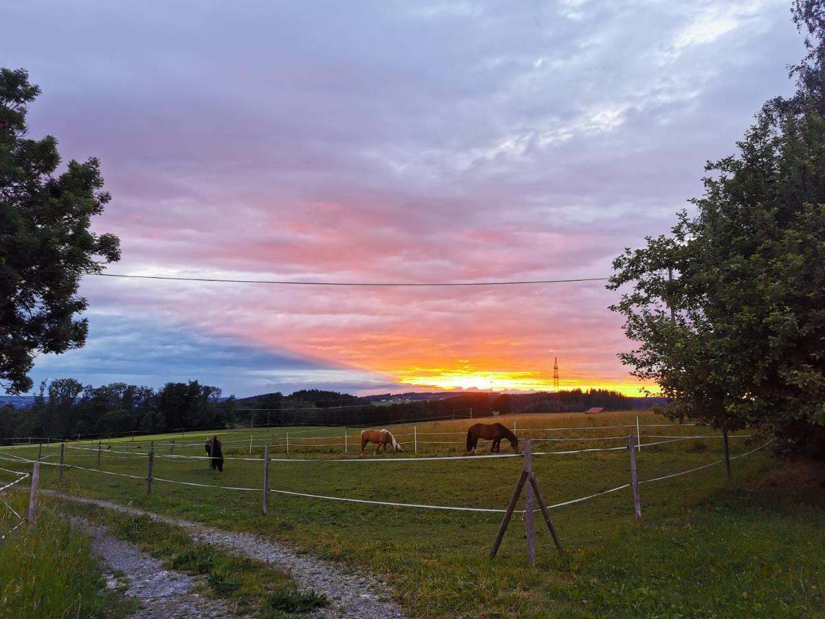 Apartment Auszeit Mit Kueche Viel Ruhe Und Natur Untrasried المظهر الخارجي الصورة